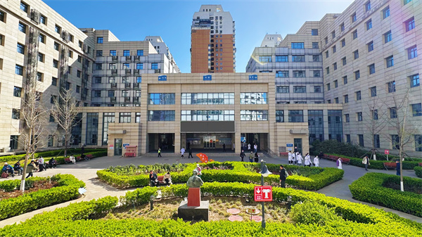 20250620金銀花廣場.jpg