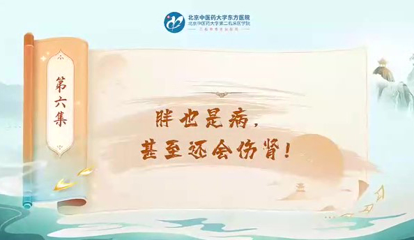 第六集 胖也是病甚至還會(huì)傷腎